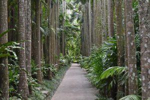 東南植物楽園